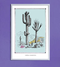 Load image into Gallery viewer, CEREUS GIGANTUS