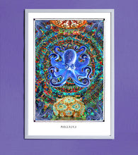 Laden Sie das Bild in den Galerie-Viewer, MOLLUSKUS