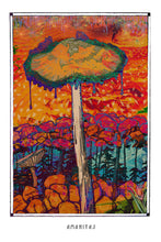 Load image into Gallery viewer, AMANITAS