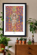 Load image into Gallery viewer, AURA - COLORO MYSTIC