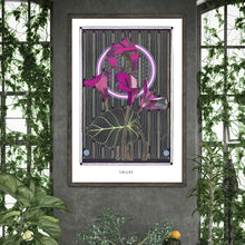 Load image into Gallery viewer, CALLAS