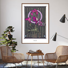 Load image into Gallery viewer, CALLAS