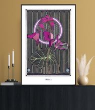 Load image into Gallery viewer, CALLAS