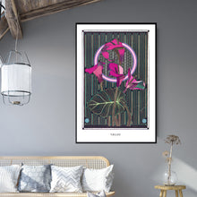 Load image into Gallery viewer, CALLAS