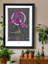 Load image into Gallery viewer, CALLAS
