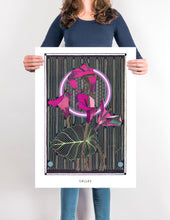 Load image into Gallery viewer, CALLAS