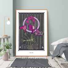 Load image into Gallery viewer, CALLAS