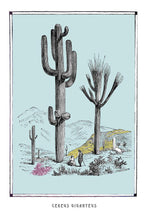 Load image into Gallery viewer, fantasy cactus botany art poster for decor - coloro mystic