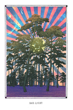 Laden Sie das Bild in den Galerie-Viewer, DAS LICHT