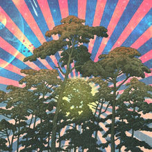 Laden Sie das Bild in den Galerie-Viewer, DAS LICHT