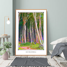 Laden Sie das Bild in den Galerie-Viewer, DER MÄDCHENWALD