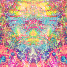 Laden Sie das Bild in den Galerie-Viewer, HOLLY 1