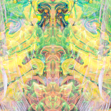 Laden Sie das Bild in den Galerie-Viewer, HOLLY 2