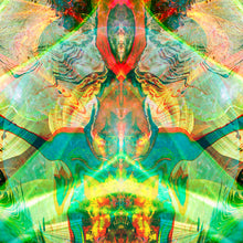 Laden Sie das Bild in den Galerie-Viewer, HOLLY 8