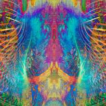 Laden Sie das Bild in den Galerie-Viewer, HOLLY 12