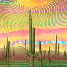 Load image into Gallery viewer, Psychedelic Mescaline cactus poster for your House and home office decor