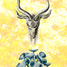 Laden Sie das Bild in den Galerie-Viewer, V Steinbock