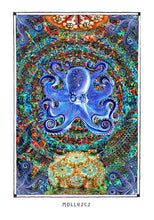 Laden Sie das Bild in den Galerie-Viewer, mystical octopus mandala art poster for boho home decor - coloro mystic