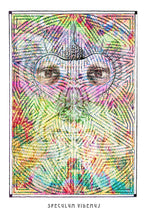 Laden Sie das Bild in den Galerie-Viewer, spiritual wall art poster coloro mystic