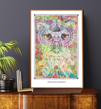 Laden Sie das Bild in den Galerie-Viewer, SPECULUM VIDEMUS