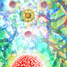 Load image into Gallery viewer, THE ATOMS CHAMBER