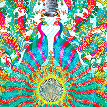 Load image into Gallery viewer, THE CREATION