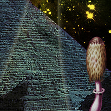 Laden Sie das Bild in den Galerie-Viewer, DIE BEWOHNER