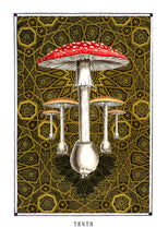 Laden Sie das Bild in den Galerie-Viewer, WAHRHEIT - psychedelisches Kunstplakat Amanita muscaria