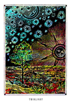 Laden Sie das Bild in den Galerie-Viewer, TWINLIGHT