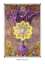 Laden Sie das Bild in den Galerie-Viewer, VENUS MYRTUS