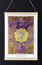 Laden Sie das Bild in den Galerie-Viewer, VENUS MYRTUS