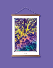 Load image into Gallery viewer, ALBERI