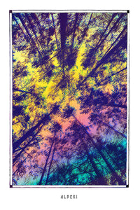 ALBERI