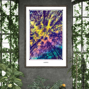 ALBERI