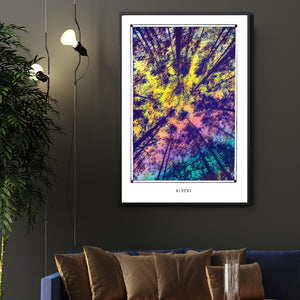 ALBERI