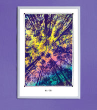 Load image into Gallery viewer, ALBERI