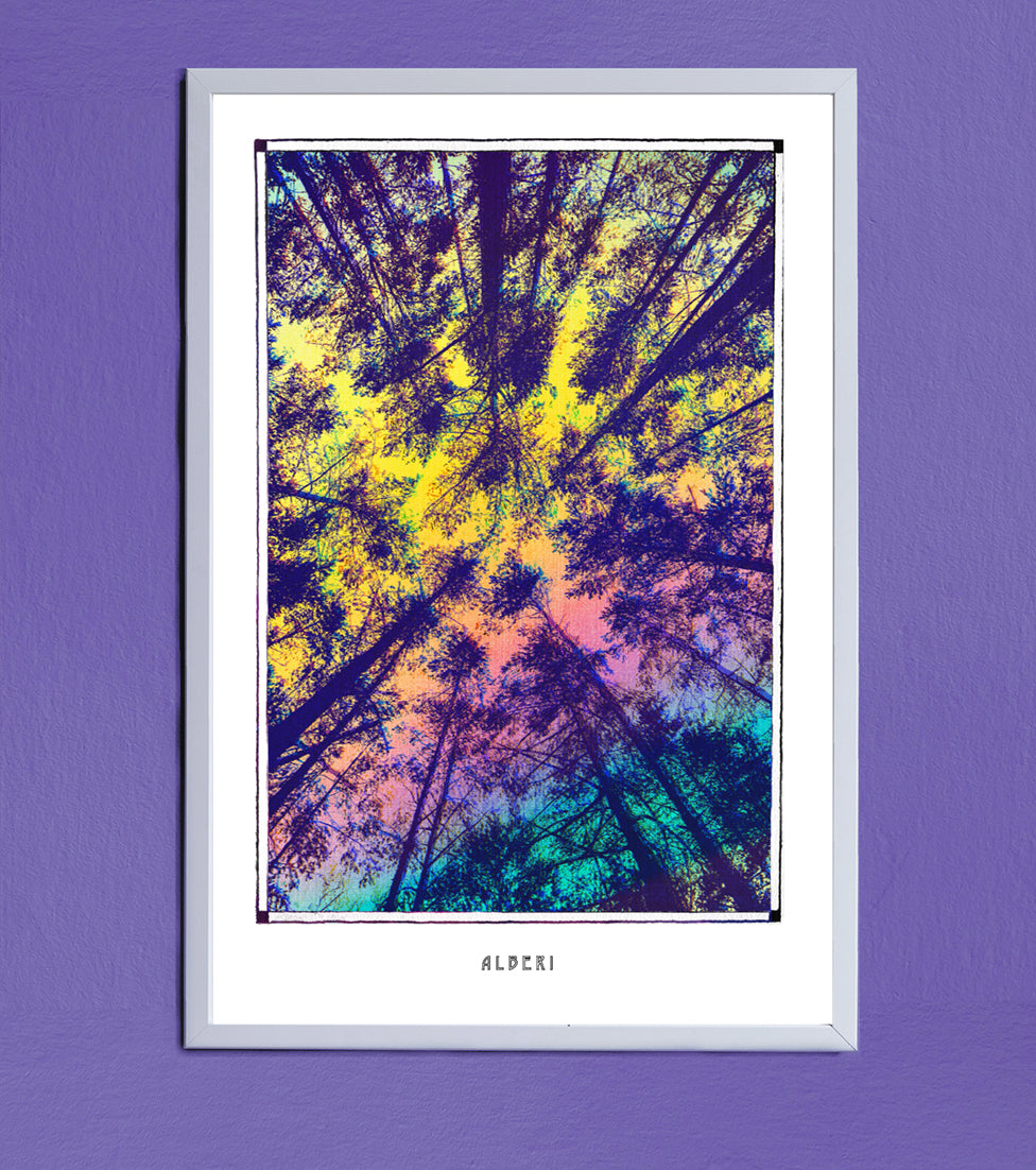 ALBERI