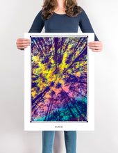Load image into Gallery viewer, ALBERI