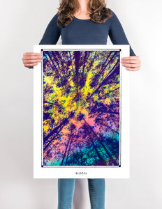 ALBERI