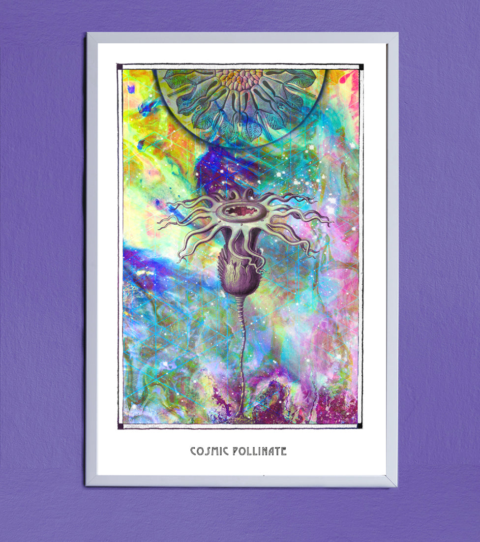 COSMIC POLLINATE