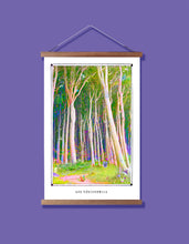 Cargar imagen en el visor de la galería, EL BOSQUE DE LAS MARCAS