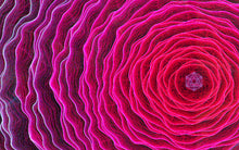 Laden Sie das Bild in den Galerie-Viewer, Purple Lotus | Panoramic Canvas Print 200×50cm – COLORO MYSTIC