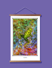 Load image into Gallery viewer, KAMBO