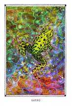 Load image into Gallery viewer, KAMBO
