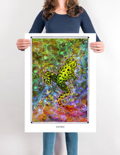 Load image into Gallery viewer, KAMBO