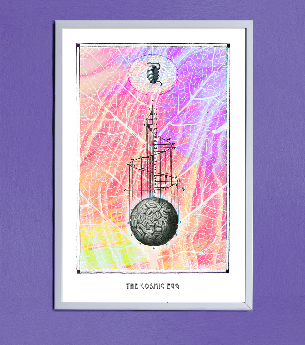 COSMIC EGG