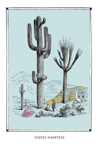 fantasy cactus botany art poster for decor - coloro mystic