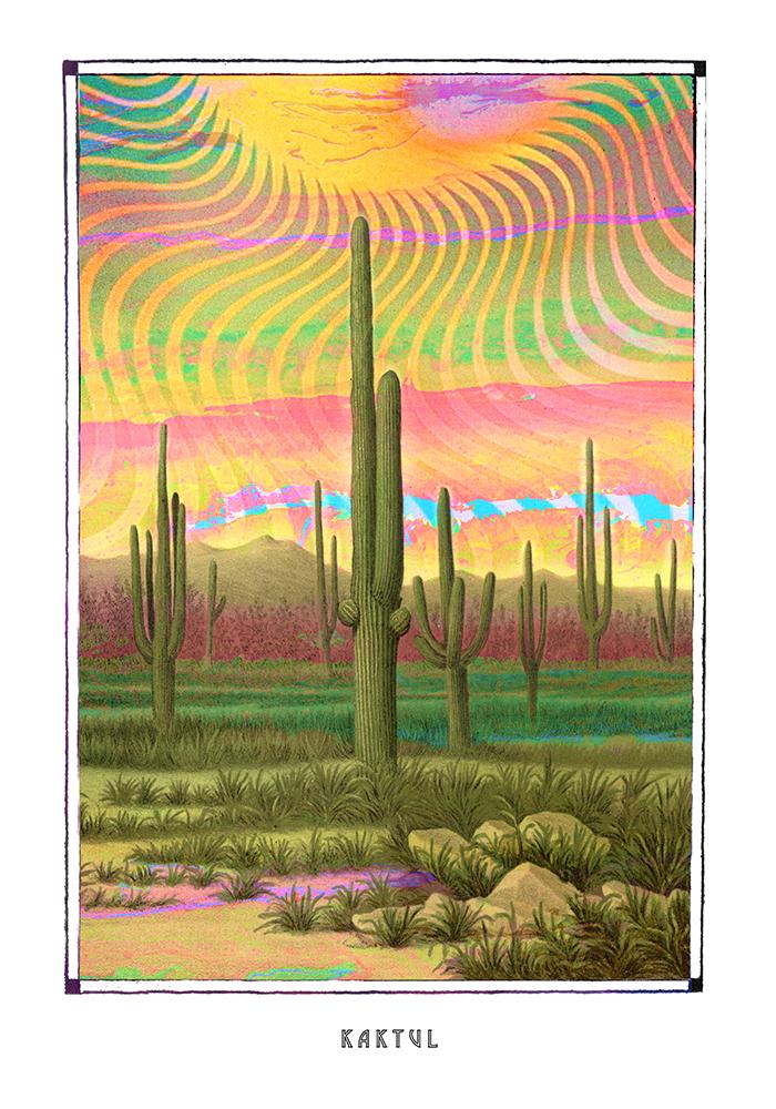 Psychedelic Mescaline cactus poster for your House and home office decor