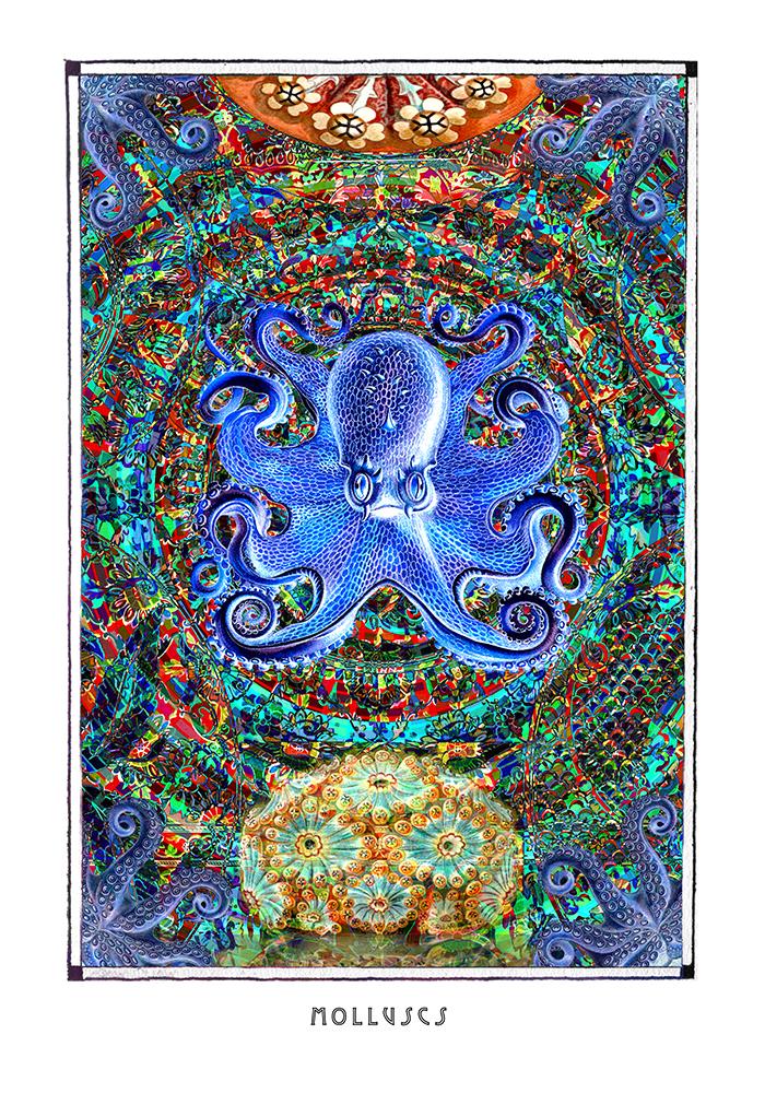 mystical octopus mandala art poster for boho home decor - coloro mystic