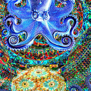 mystical octopus mandala art poster for boho home decor - coloro mystic